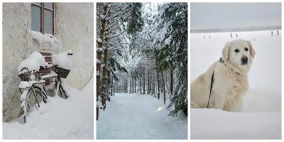 Paesaggi con Neve | Raccolta Immagini Innevate
