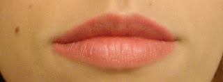 LipStain -ELF studio-