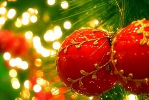 Oroscopo green dal 19 al 25 dicembre: Buon Astro Natale!