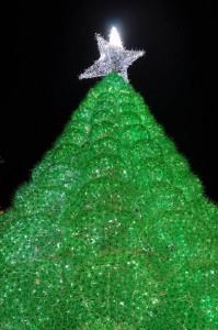 Oroscopo green dal 19 al 25 dicembre: Buon Astro Natale!