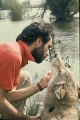 Anteprima: Cuore di lupa. La vita spiegata da un animale selvaggio di Pierre Jouventin Anteprima: Cuore di lupa. La vita spiegata da un animale selvaggio di Pierre Jouventin