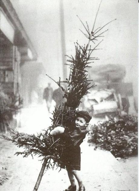 christmas tree vintage photo
