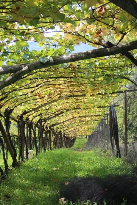 Gran tour Trentino Alto Adige, tappa 2