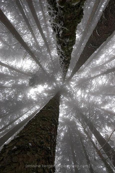 Scritto da voi: sono alta Scritto da voi: sono alta