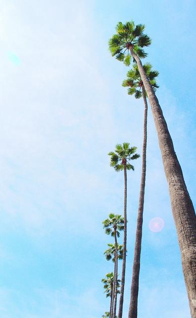 Scritto da voi: sono alta Scritto da voi: sono alta