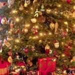 Noci, crostacei e Stelle di Natale: attenzione alle allergie da festività