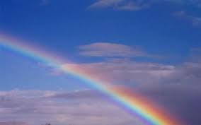 UN ANNO DIFFICILE UN ANNO DIFFICILE