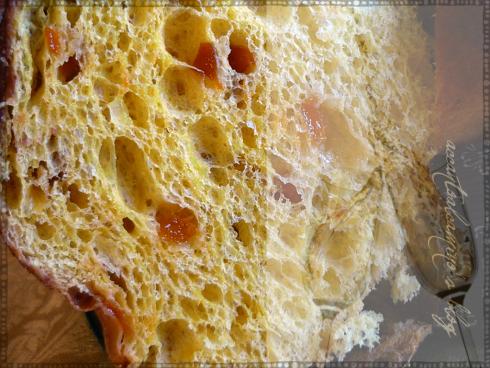 Coupelle ai semi di papavero con Mousse di Salmone e il Silenzio del Capodanno. Fetta panettone Amici-001corn