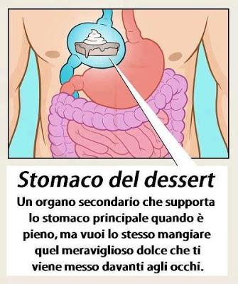 Lo stomaco del dessert