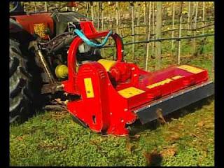 I lavori di gennaio nell'Oliveto del Salento leccese