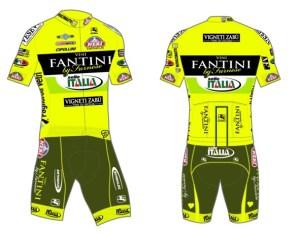 vini fantini