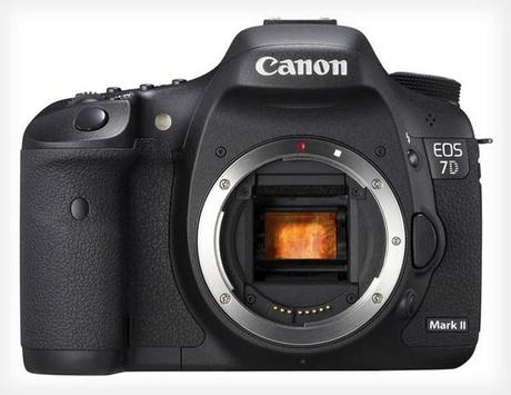 Rumors sulle fotocamere Canon previste per il 2013 canon-eos-7d-mark-ii-terapixel