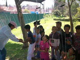 Educazione ambientale ad Aguascalientes
