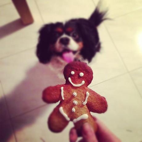 Manuale d'uso dell'Iphone...per imbranate! Manuale d'uso dell'Iphone...per imbranate!