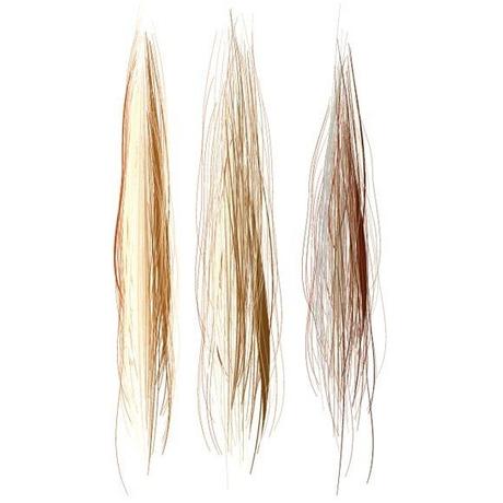 Adobe Illustrator Brushes Free Adobe Illustrator Brushes Free