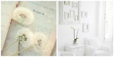 ::  Shabby decorator cercasi ::