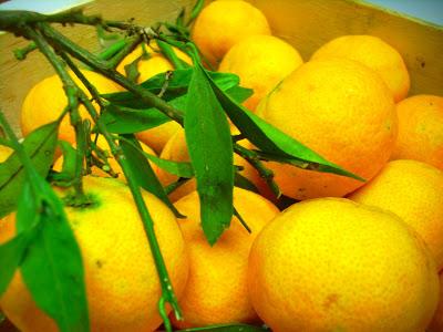 Ciambella ai mandarini ........perché l'inverno ha il loro profumo!! (senza lattosio)