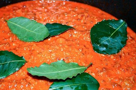 Ragù alla bolognese, vietatissimo sugli spaghetti! bolognese16-580