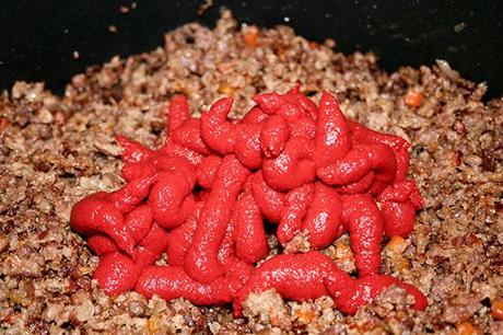 Ragù alla bolognese, vietatissimo sugli spaghetti! bolognese13-580