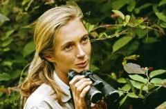 Jane Goodall, National Geographic,Robert Ballard,James Cameron, programmi tv  