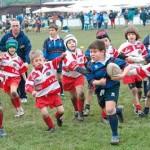 JR2 La salute (by Edda Cacchioni)