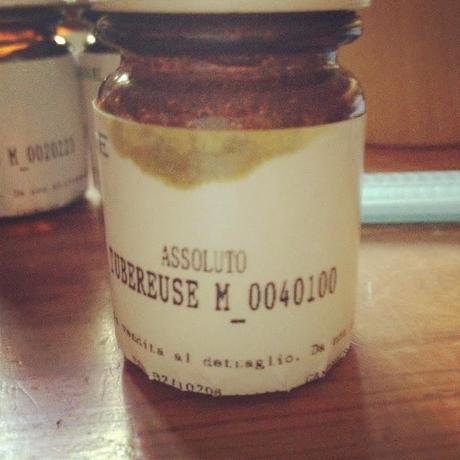 UN VIAGGIO NEL MONDO DEI PROFUMI CON GIOVANNI SAMMARCO UN VIAGGIO NEL MONDO DEI PROFUMI CON GIOVANNI SAMMARCO