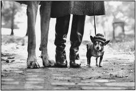 The others - Let me introduce you Elliott Erwitt