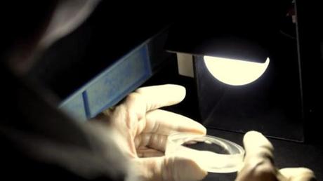 Nikon svela la produzione dei suoi obiettivi con un video produzione-lenti-nikkor-nikon-terapixel.jpg