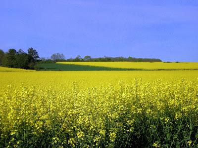 “Primavera in Borgogna” recensito su “Il Colore dei libri”.