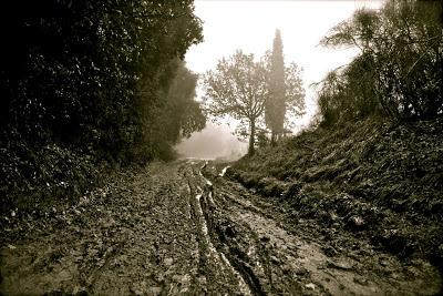 la battuta di caccia al cinghiale