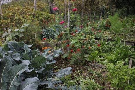 Orto d'artista! Orto d'artista!