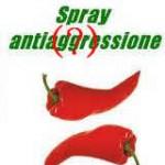 spray al peperoncino, fonte di aggressione più che di sicurezza.