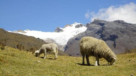Parco nazionale Los Nevados Colombia1
