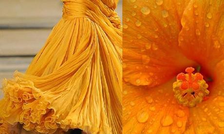 Io sono vanità Io sono vanità