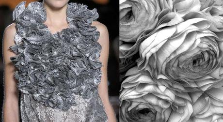 Io sono vanità Io sono vanità