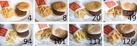 Panino immortale grazie a McDonald’s