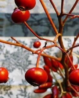 Decorazione con bacche di Rosa e peperoncini piccanti.. Decorazione con bacche di Rosa e peperoncini piccanti..