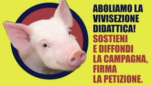 Da AgireOra una petizione contro la vivisezione didattica