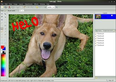 L’ obbiettivo di Pintal è portare la semplicità di uso di Paint.net anche su Linux. L’ obbiettivo di Pintal è portare la semplicità di uso di Paint.net anche su Linux.