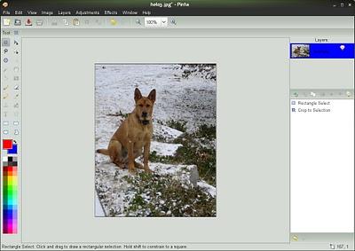 L’ obbiettivo di Pintal è portare la semplicità di uso di Paint.net anche su Linux. L’ obbiettivo di Pintal è portare la semplicità di uso di Paint.net anche su Linux.