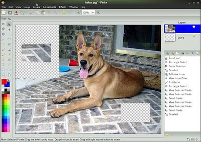 L’ obbiettivo di Pintal è portare la semplicità di uso di Paint.net anche su Linux. L’ obbiettivo di Pintal è portare la semplicità di uso di Paint.net anche su Linux.