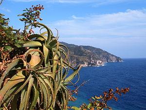 Vista da Corniglia, Cinque Terre (Italia)