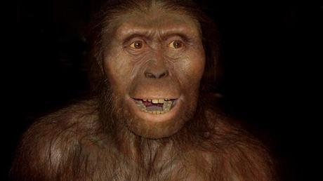 Album di Famiglia – Australopithecus e cugini