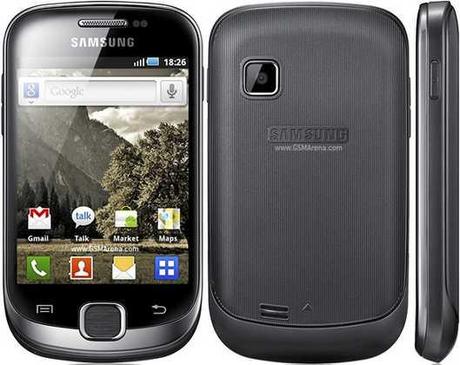 Samsung Galaxy Fit GT-S5670 Manuale Pdf e Istruzioni Italiano