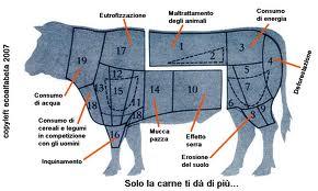 5 Motivi Per Non Mangiare Carne