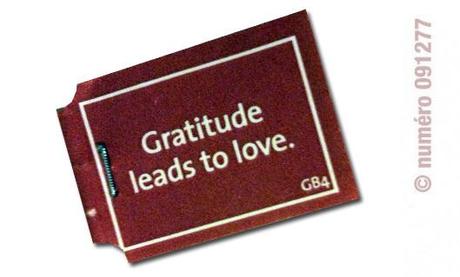 gratitude leads to love