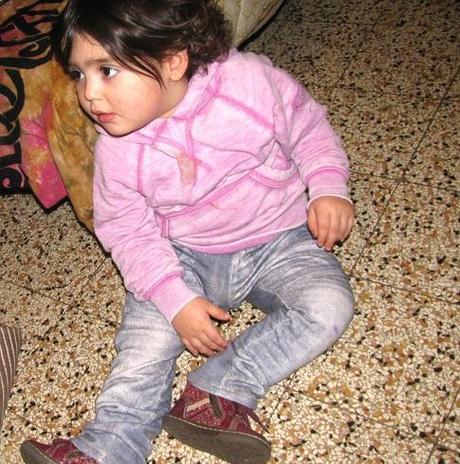 QUATTRO - BISCOTTI DI FROLLA BICOLORE QUATTRO - BISCOTTI DI FROLLA BICOLORE