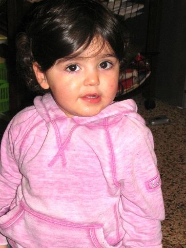 QUATTRO - BISCOTTI DI FROLLA BICOLORE QUATTRO - BISCOTTI DI FROLLA BICOLORE