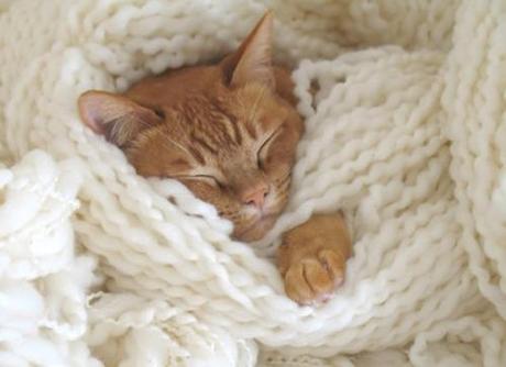 KNITTED! KNITTED!