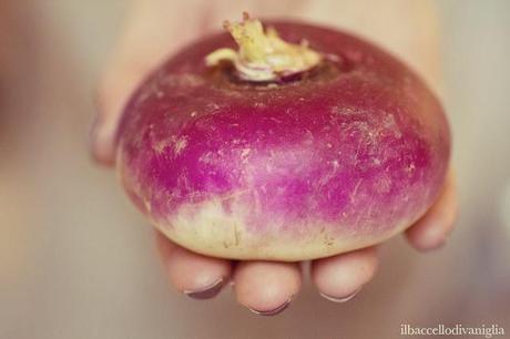 Diciamoci la verità, la rapa non è proprio uno degli orta... Diciamoci la verità, la rapa non è proprio uno degli orta...